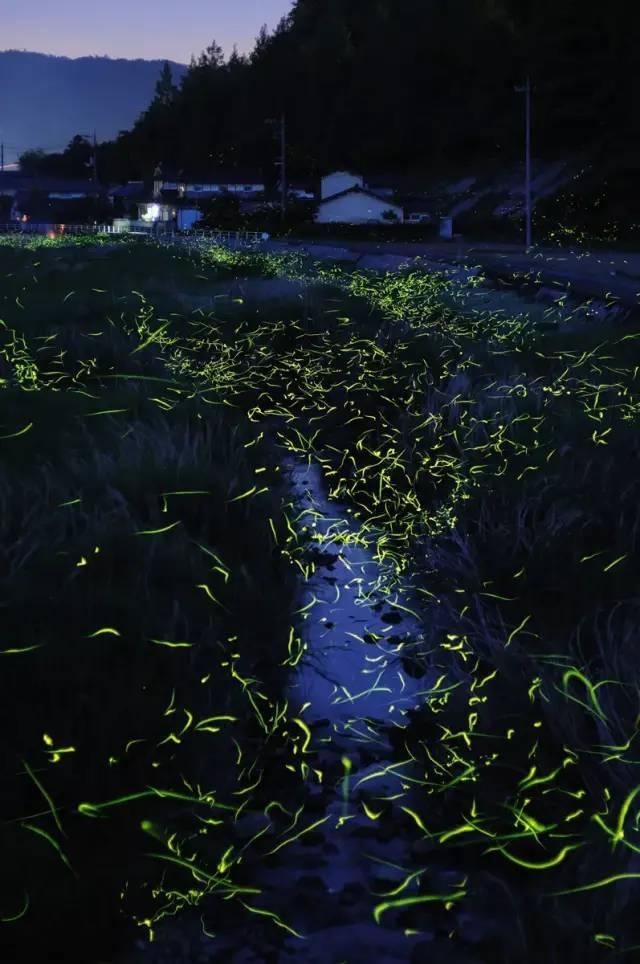 甜菜地施肥是一铵好还是硫酸钾好？